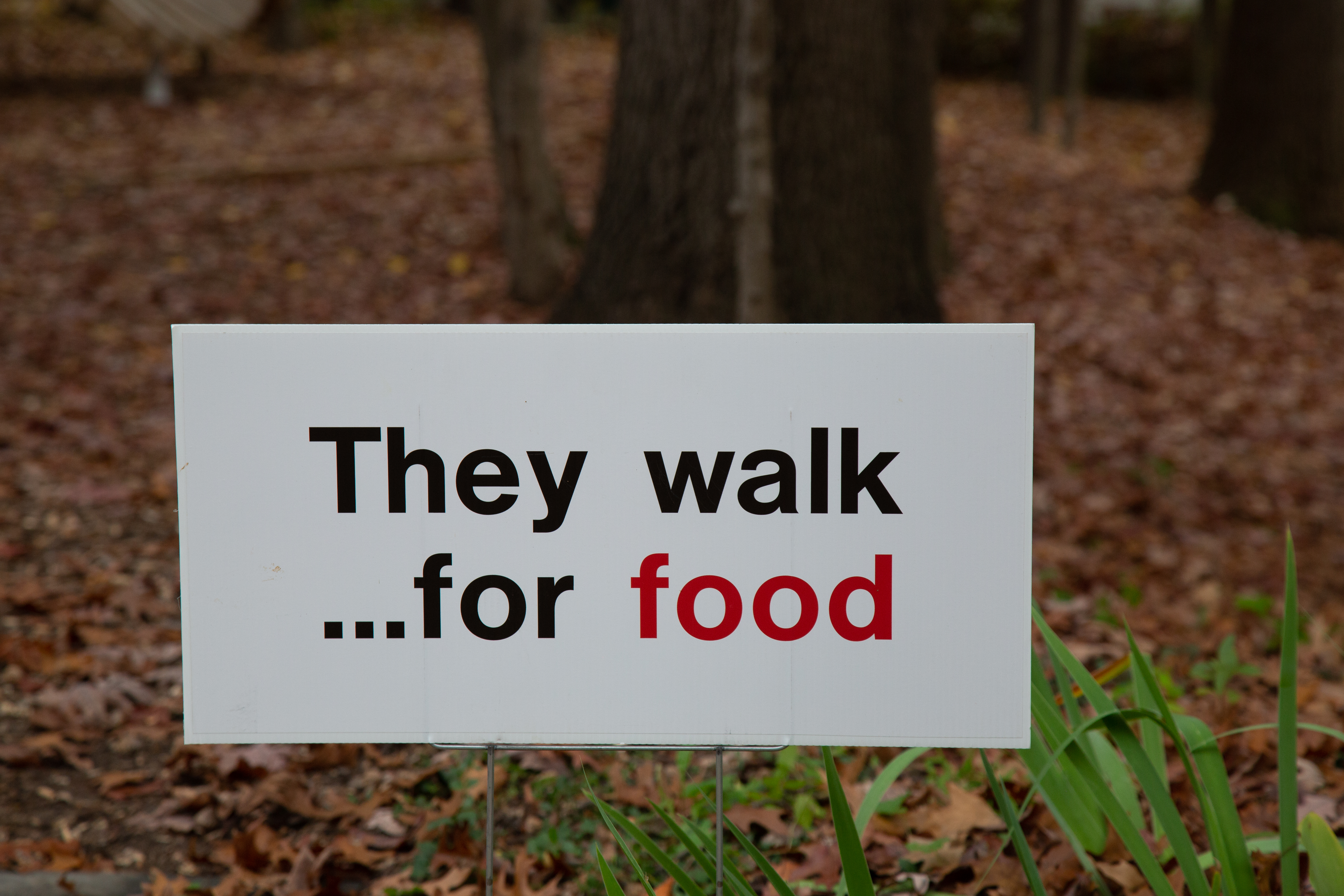 They walk for food...